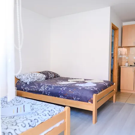 公寓 Merlin 4 索科矿泉村