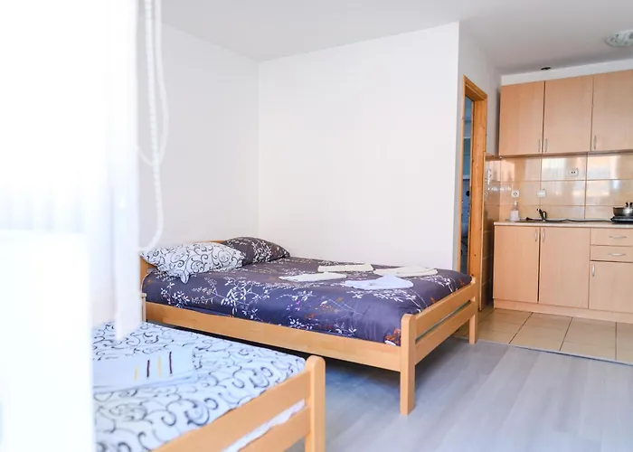 公寓 Merlin 4 索科矿泉村